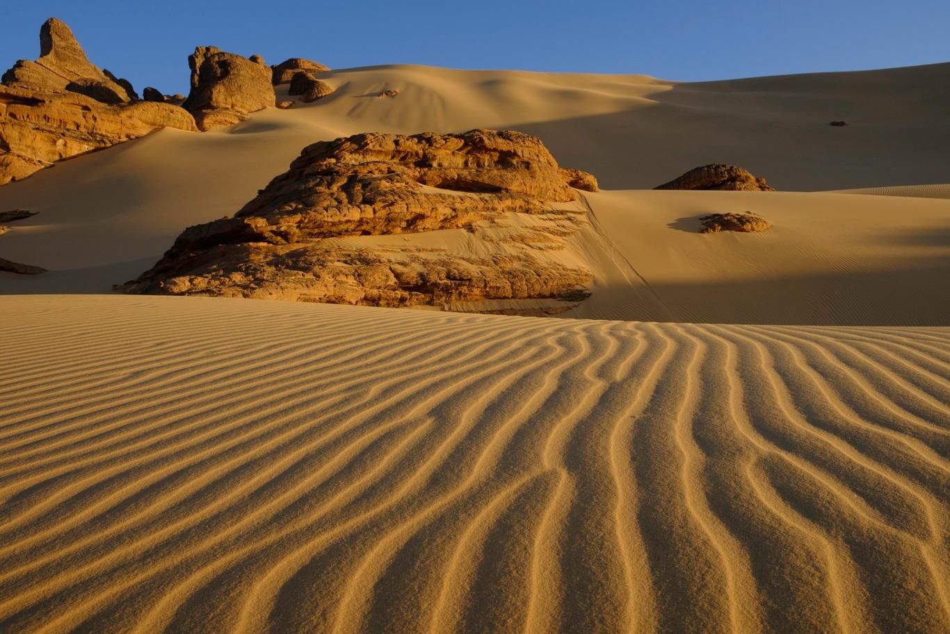 Rides de sable et rochers dans l'erg