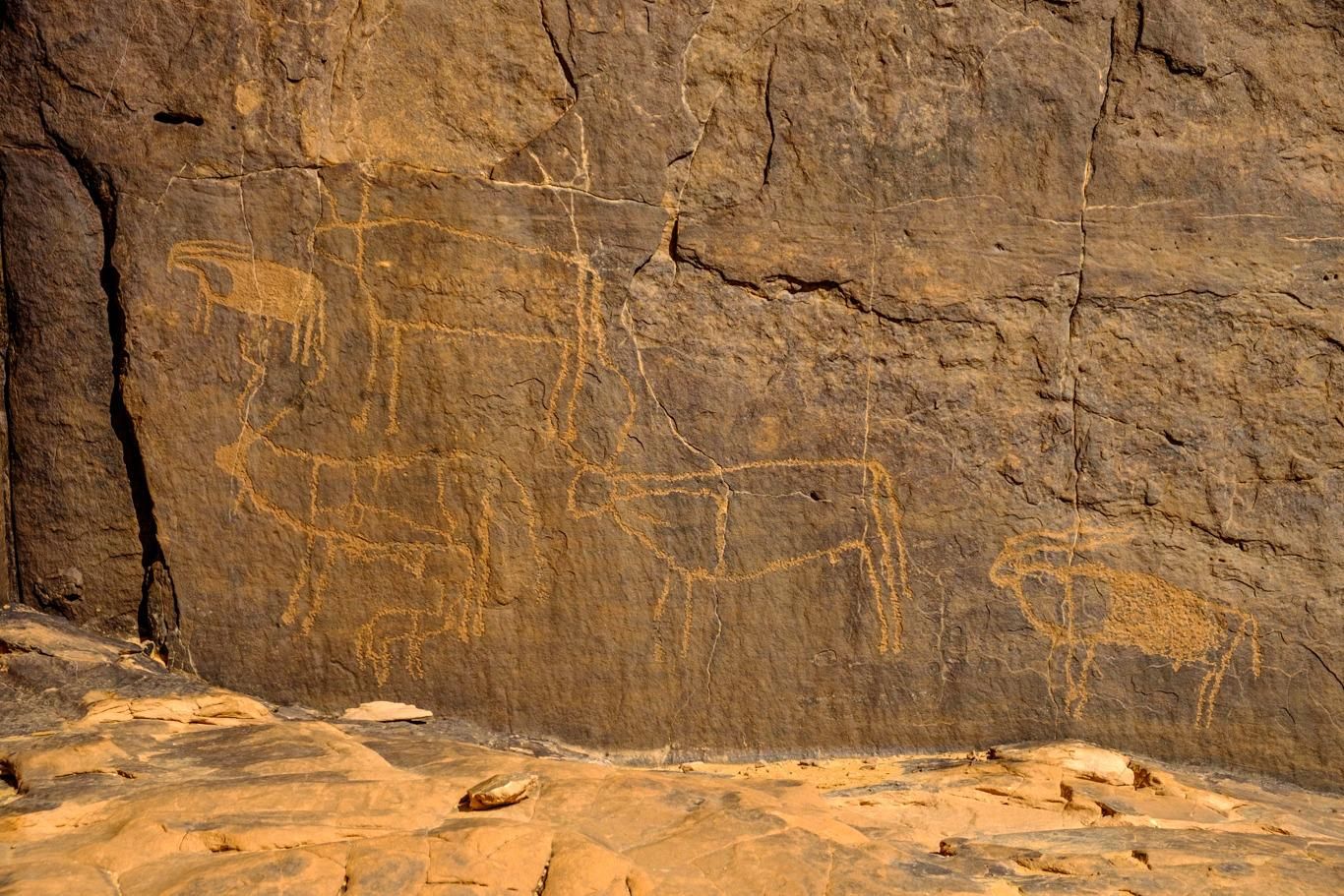 Tassili confidentiel
